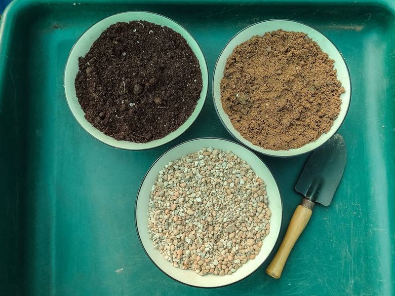 Improve the Soil Drainage