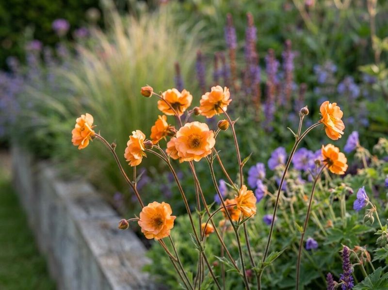 Geum