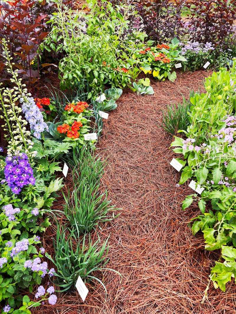 Use pine straw for planting beds when it fits the site