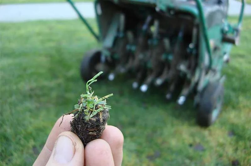 Aerate Compacted Soil