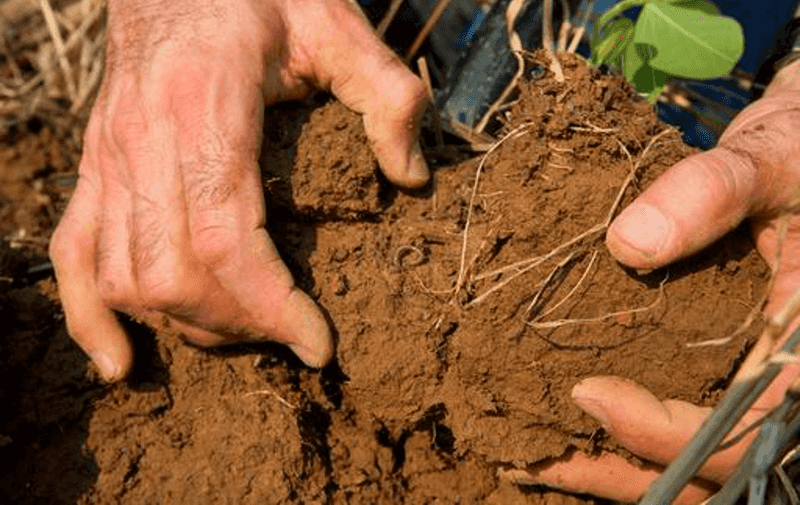 Decide whether compaction calls for aeration