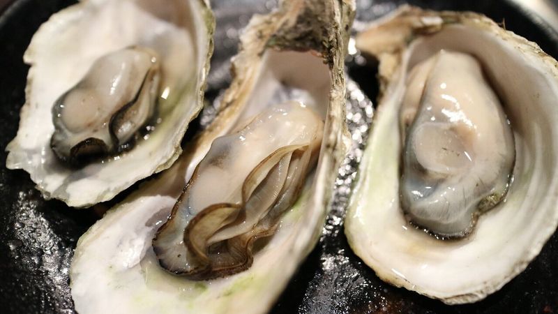 Apalachicola Oysters