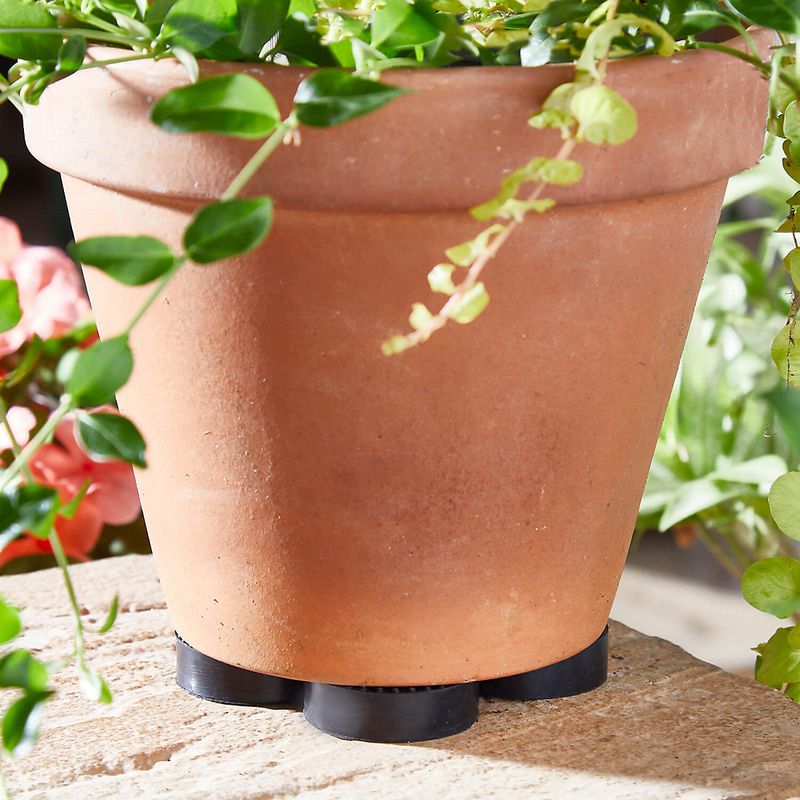 Elevate Containers for Better Drainage