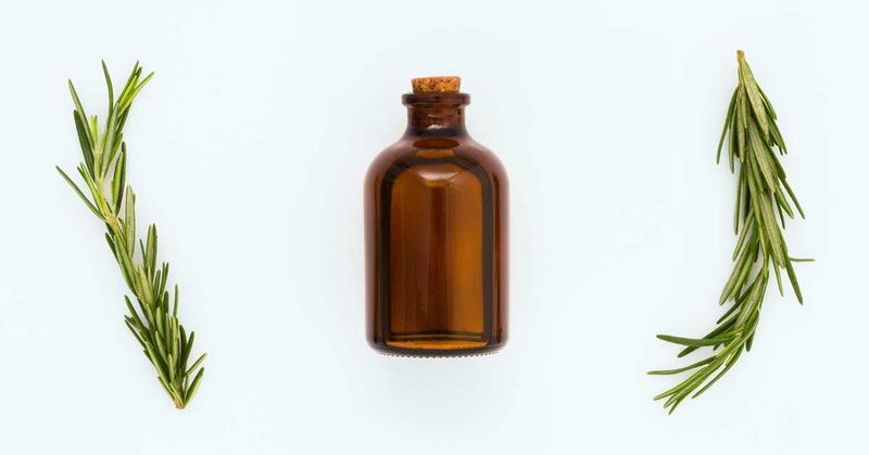 Rosemary essential oil is not the same as a living plant