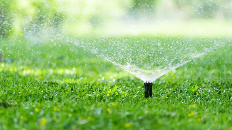 Water Deeply, Not Daily