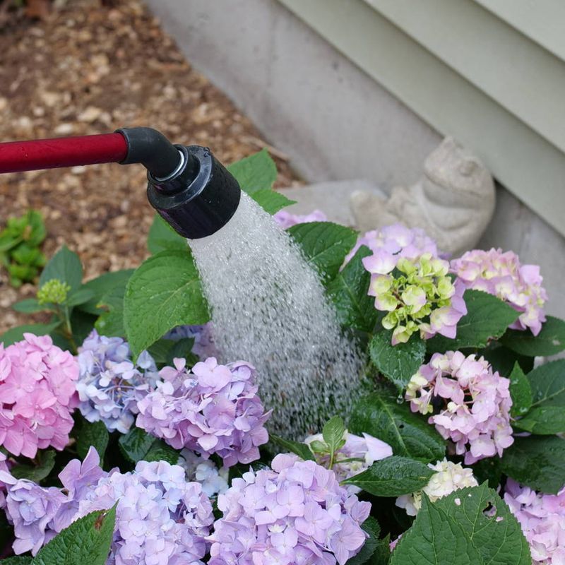 Keep Watering Deeply Until the Ground Freezes
