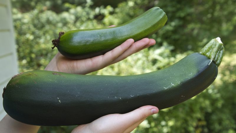 Avoid Oversized Fruits