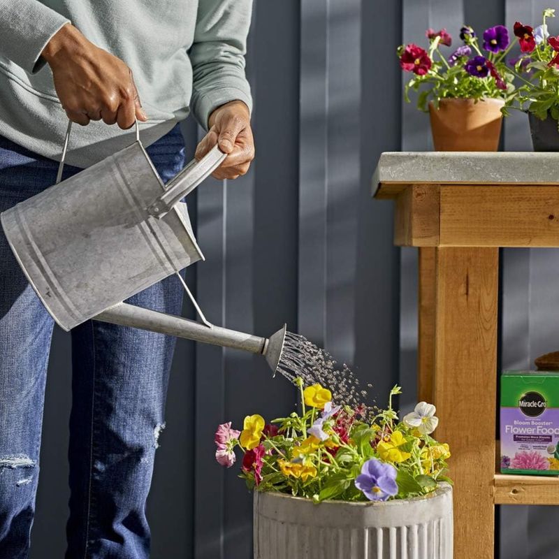 Use a Balanced or Bloom-Boosting Fertilizer
