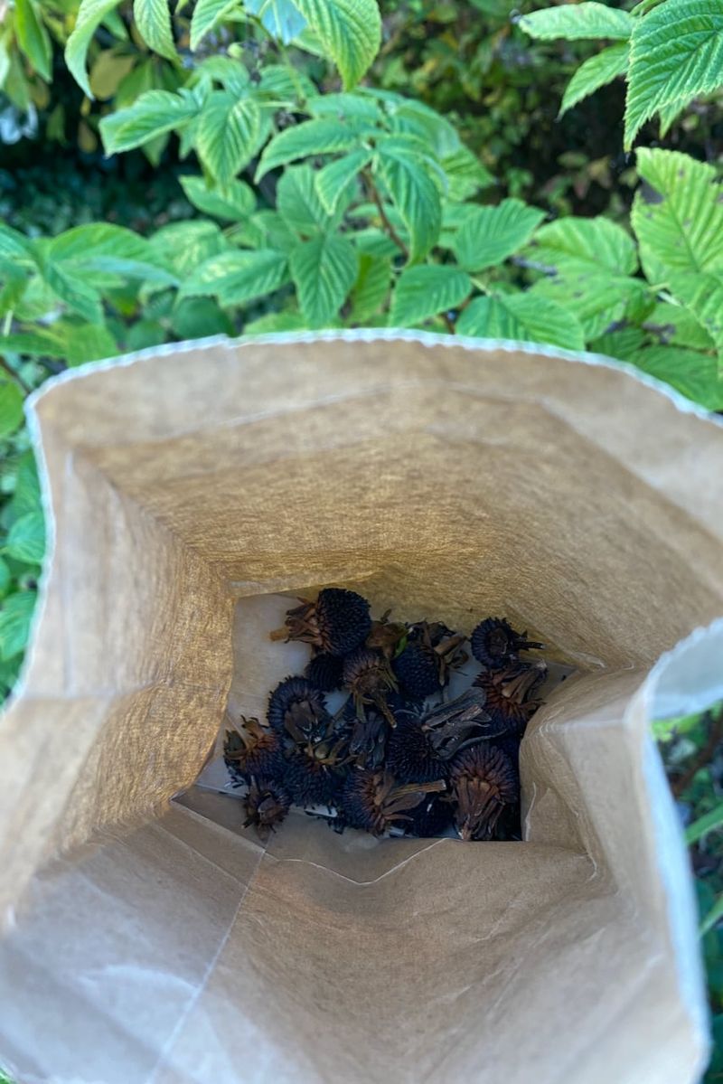 Move Them Into a Paper Bag
