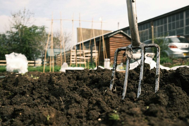 Address Soil Compaction