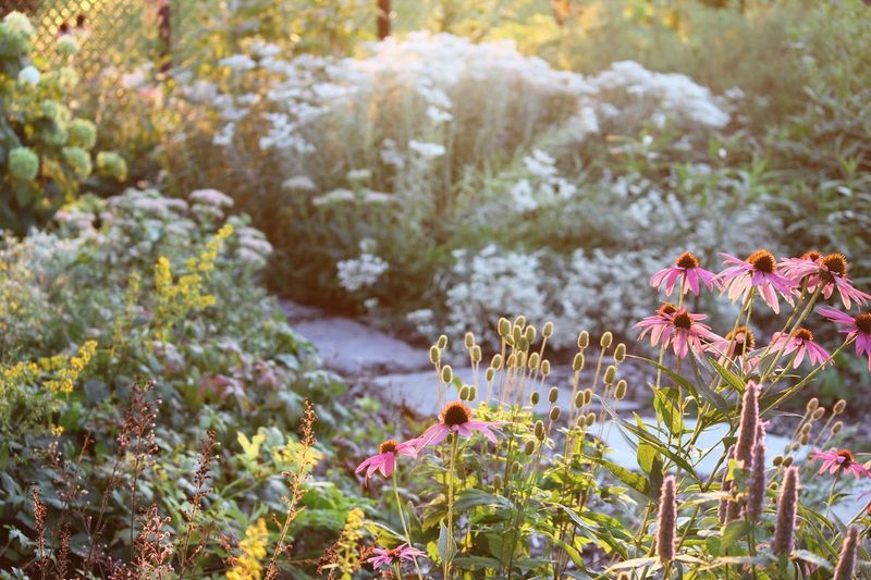 Treat the sighting as a clue, not a garden health certificate