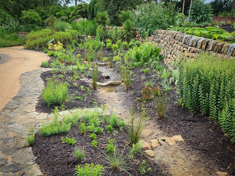 Prepare and Establish a Dry Border