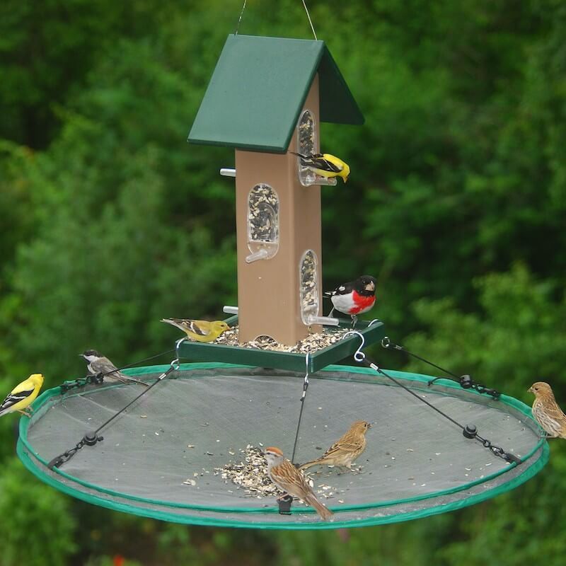 Overfilling Bird Feeders Near the Patio