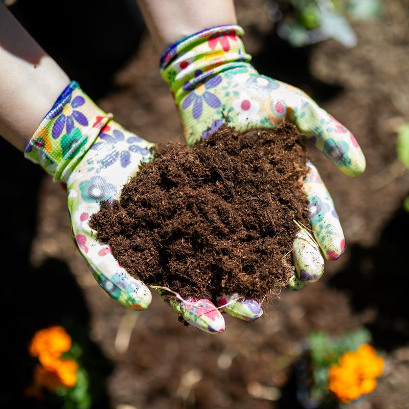 If you use hair in a bed, distribute it through the soil