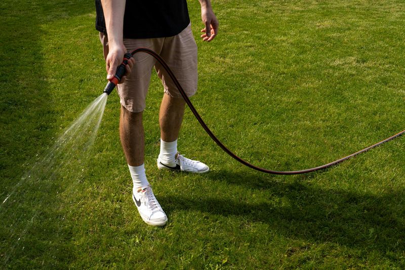 Castor-oil repellents may help, but results vary