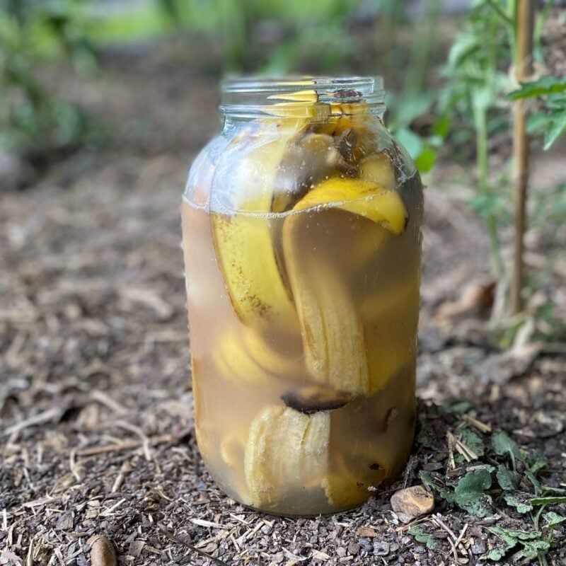 Bury Banana Peels for Slow Potassium