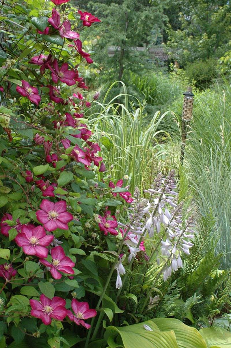 The pruning group determines whether a summer reset is safe