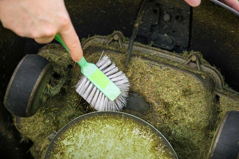 Clean the Mower Thoroughly