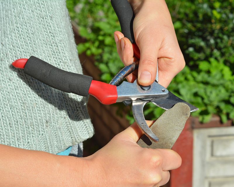 Clean, Sharpen, and Oil Your Tools