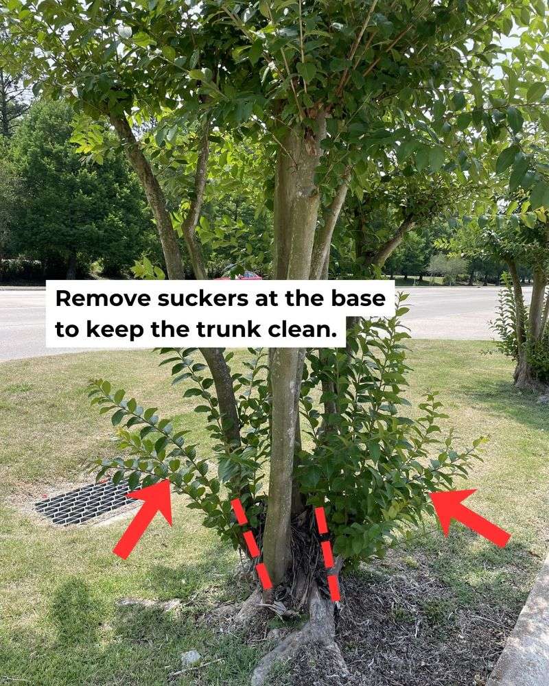 Manage the plant you actually have