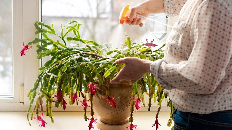 Avoid Overwatering