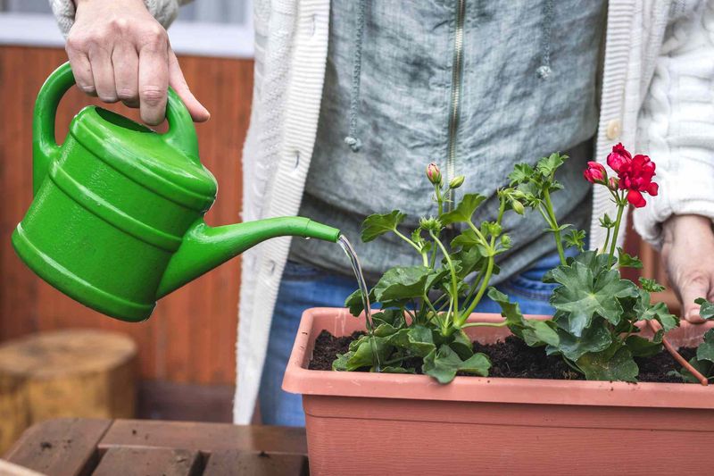 Water Deeply, Then Let the Soil Dry Out