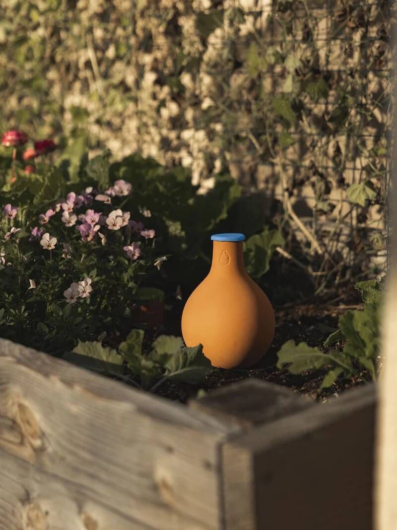 Match the vessel to an established, compact planting
