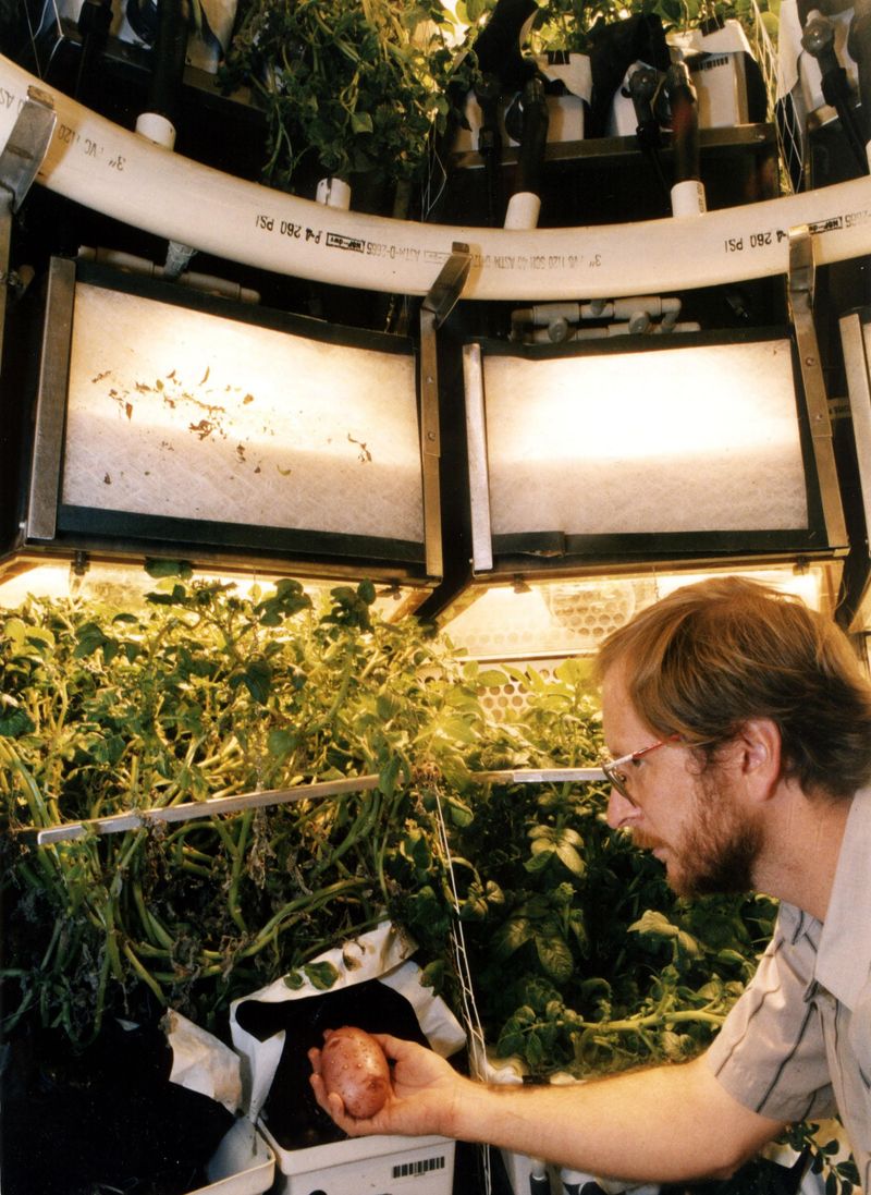 The NASA story began in a sealed chamber