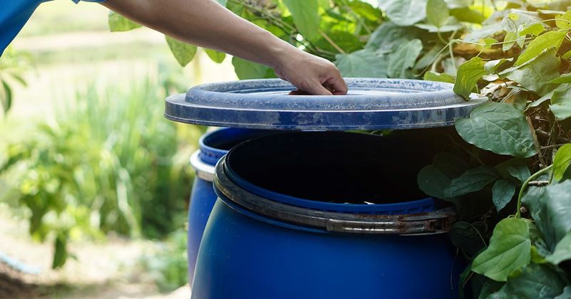 Use proven mosquito protection for immediate relief