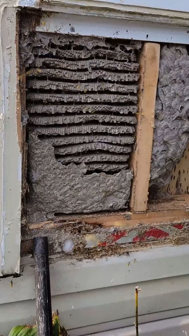 Structural Nests