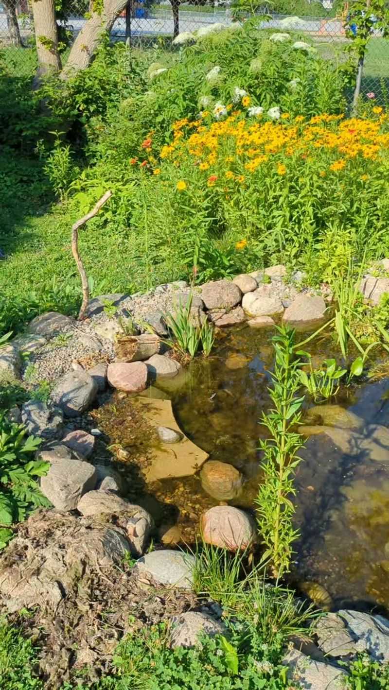 Make the surrounding yard safer without trying to force occupancy