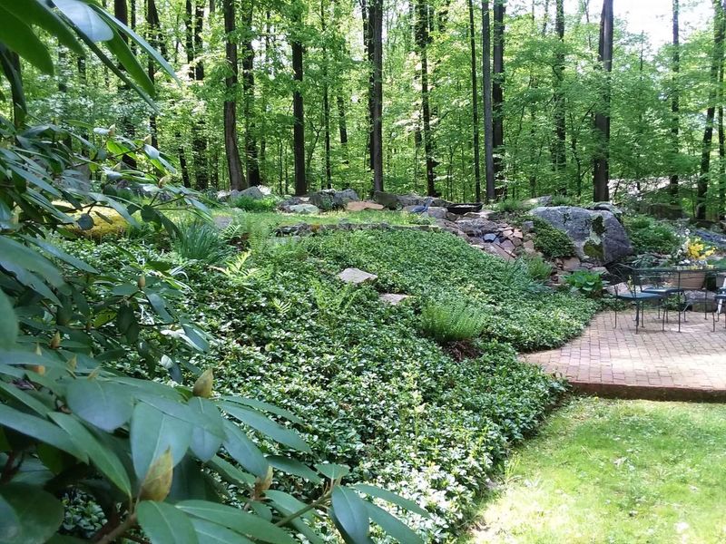 Runoff management and soil cover determine whether a slope holds