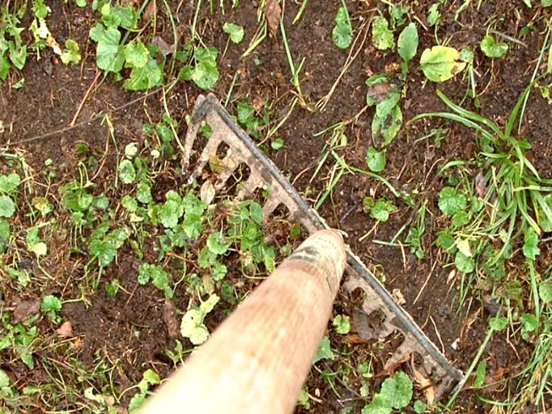 Remove small patches thoroughly and check them again