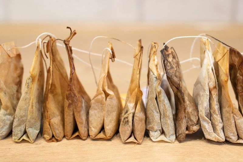 Used Tea Bags or Tea Leaves