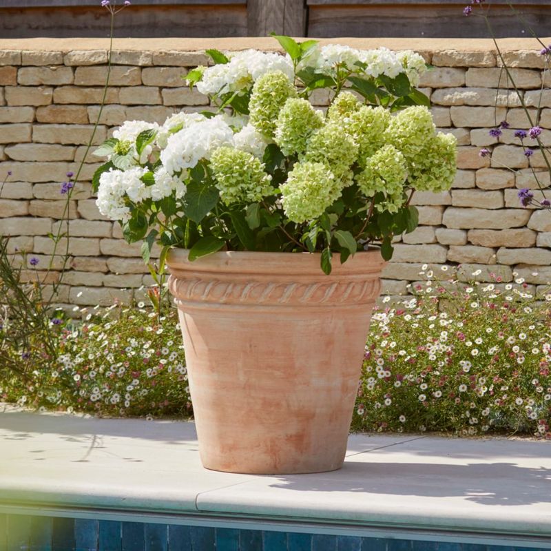 Pot Color and Material
