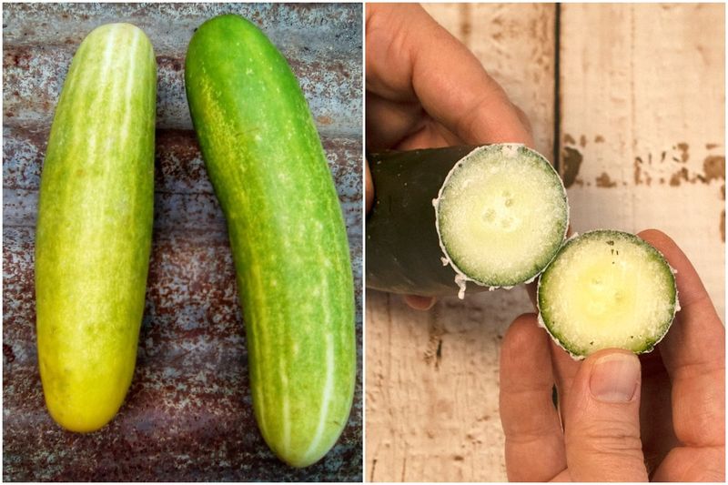 Handle bitter cucumbers safely