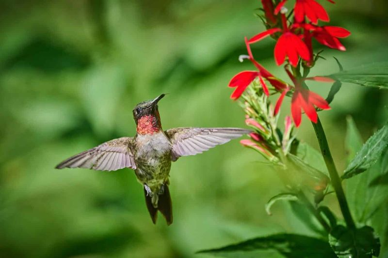 Improve the conditions without overinterpreting the bird