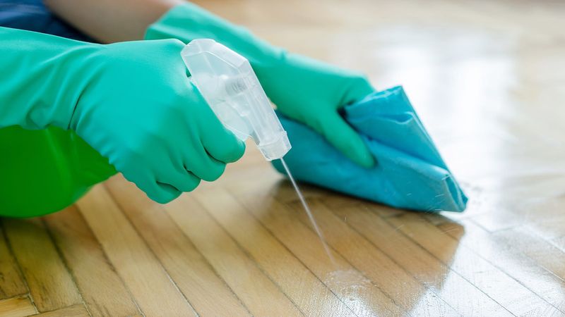 Clean indoor evidence safely and choose control carefully