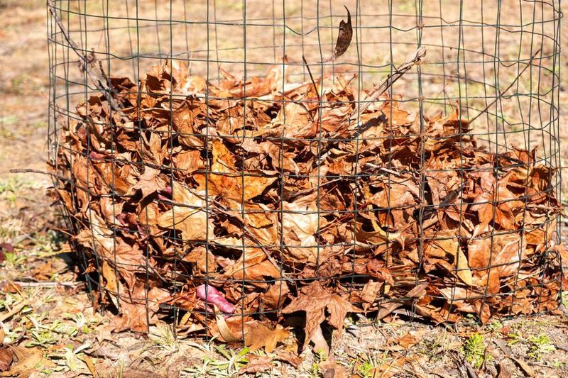 A Leaf Mold Bin