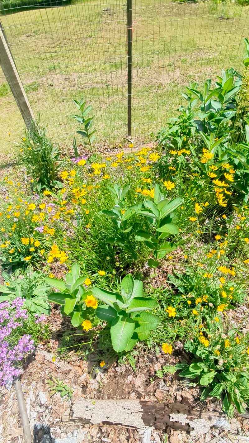 Make the gate-side corner more useful, not magically buzzing