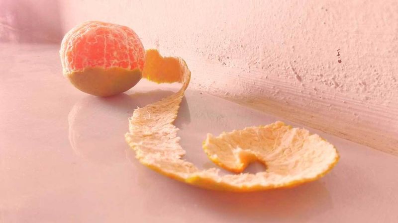 What limonene does—and what it does not establish