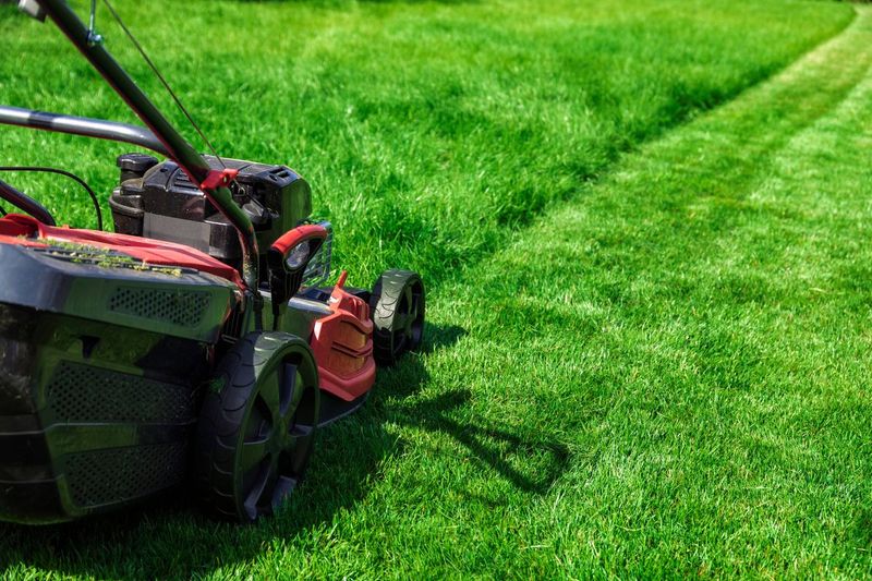 You're Mowing Your Grass Too Short