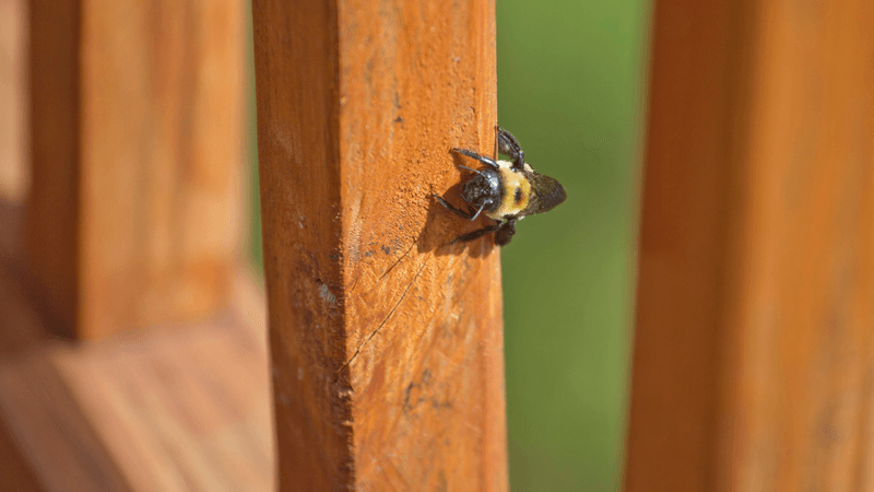 A weekend inspection can reveal warning signs and the need for professional evaluation
