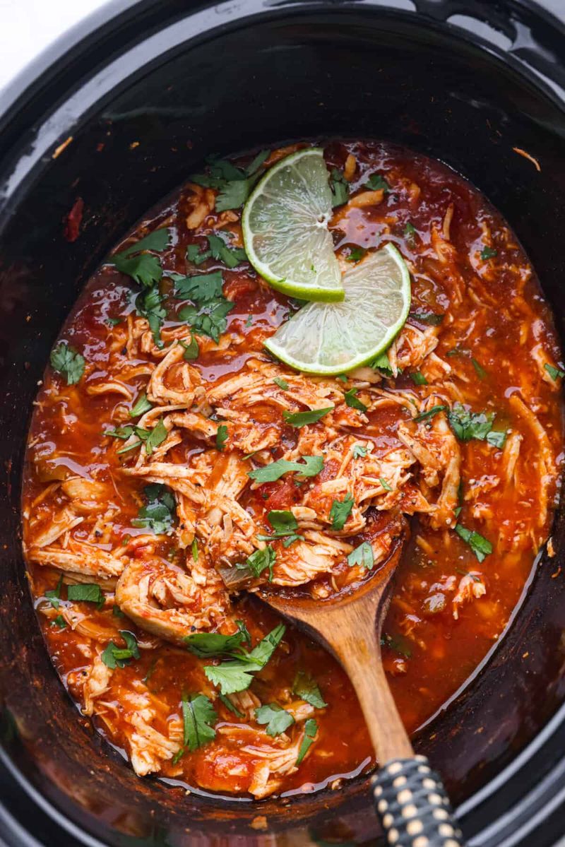 Shredded Salsa Chicken