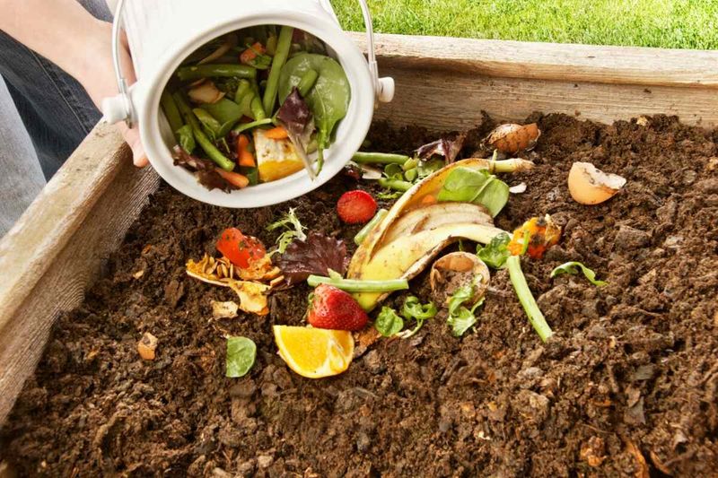 Mix Organic Matter Into Your Soil