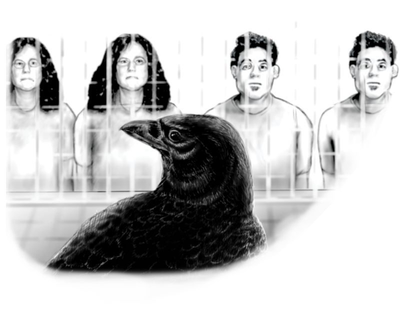 What does “recognizing a face” mean in this experiment?