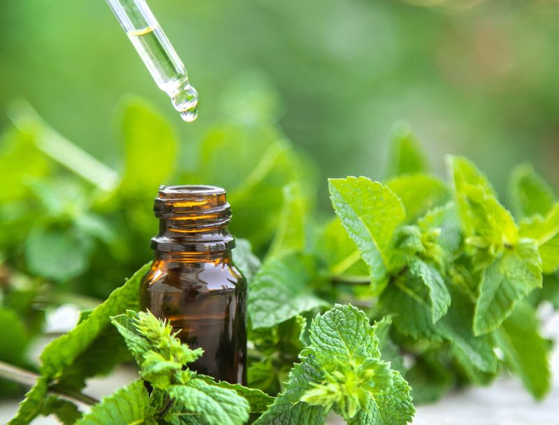 Peppermint Essential Oil