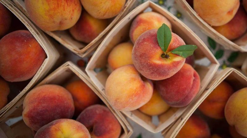 Peaches