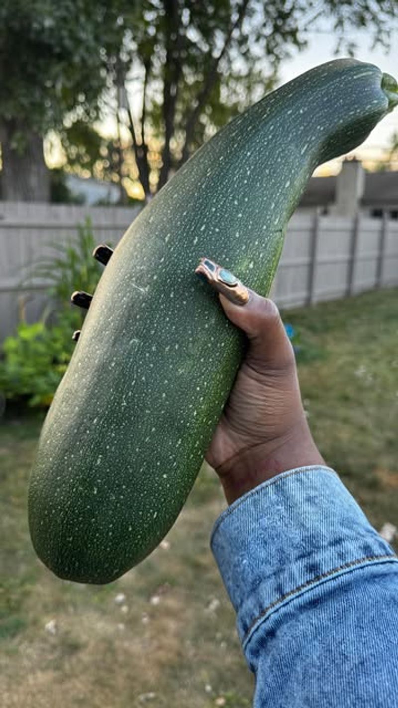 It Feels Heavy And Firm In Your Hand