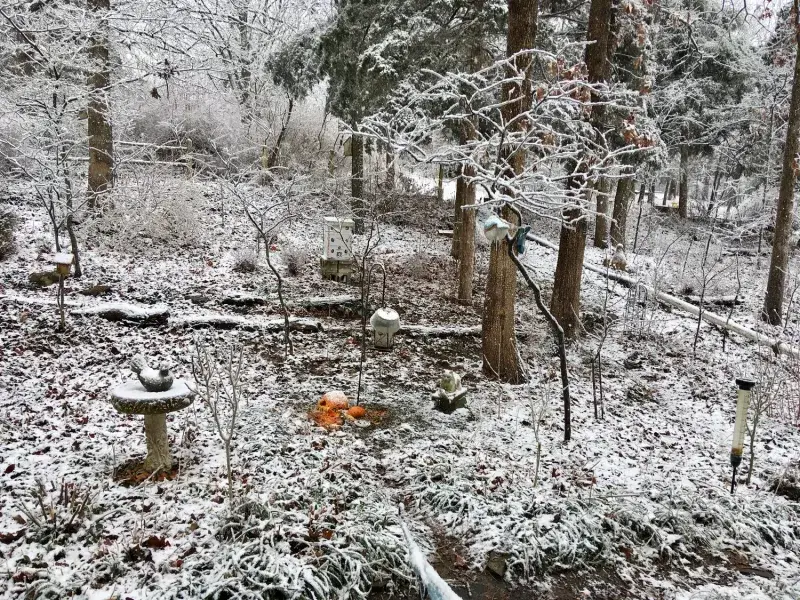 Use winter to scout and plan, not to rush into cutting